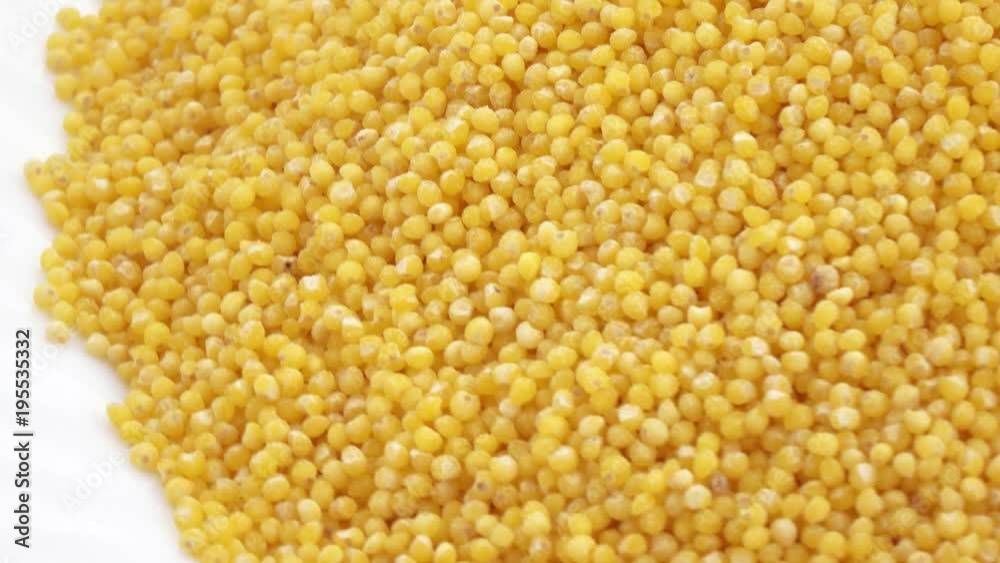 Millet sanded in bulk Millet sanded in bulk