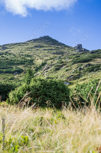 View of the peak of the mountain. Way to the mountains. Front Background.