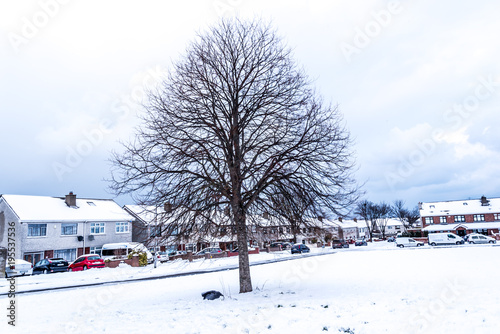 Snow Cloud Landscape