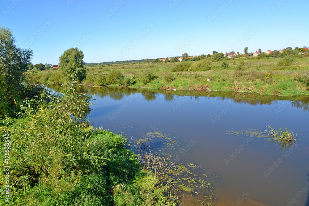 Banks of the river of Pregolya with houses on the horizon in summer day. Znamensk, Kaliningrad region