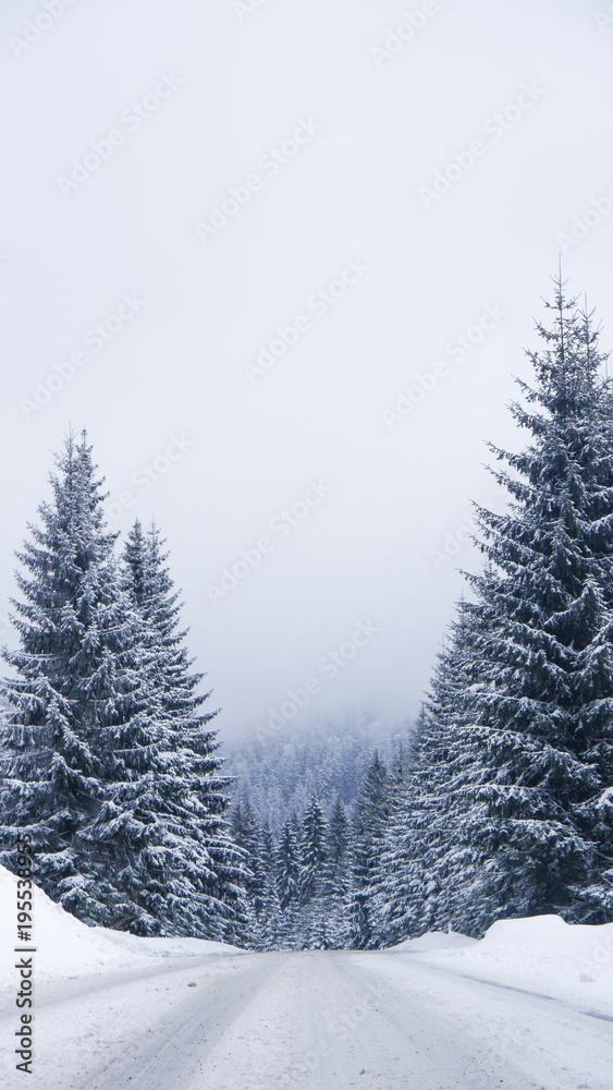 Winter road, Frozen Trees, Czech Mountains, Winter Winter road, Frozen Trees, Czech Mountains, Winter