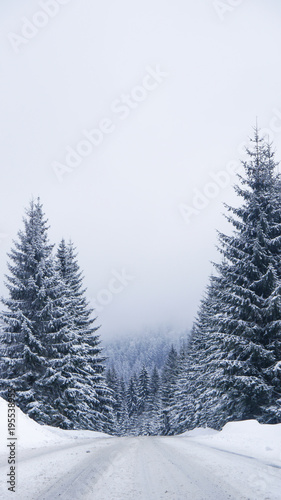 Winter road, Frozen Trees, Czech Mountains, Winter