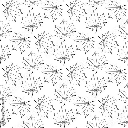 Seamless vector background of the contours of a maple leaf