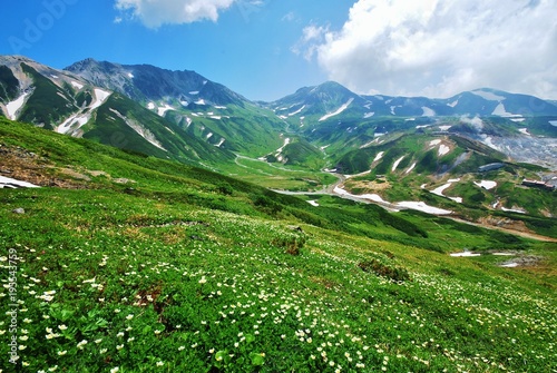 Tateyama/Toyama  ~  summer photo