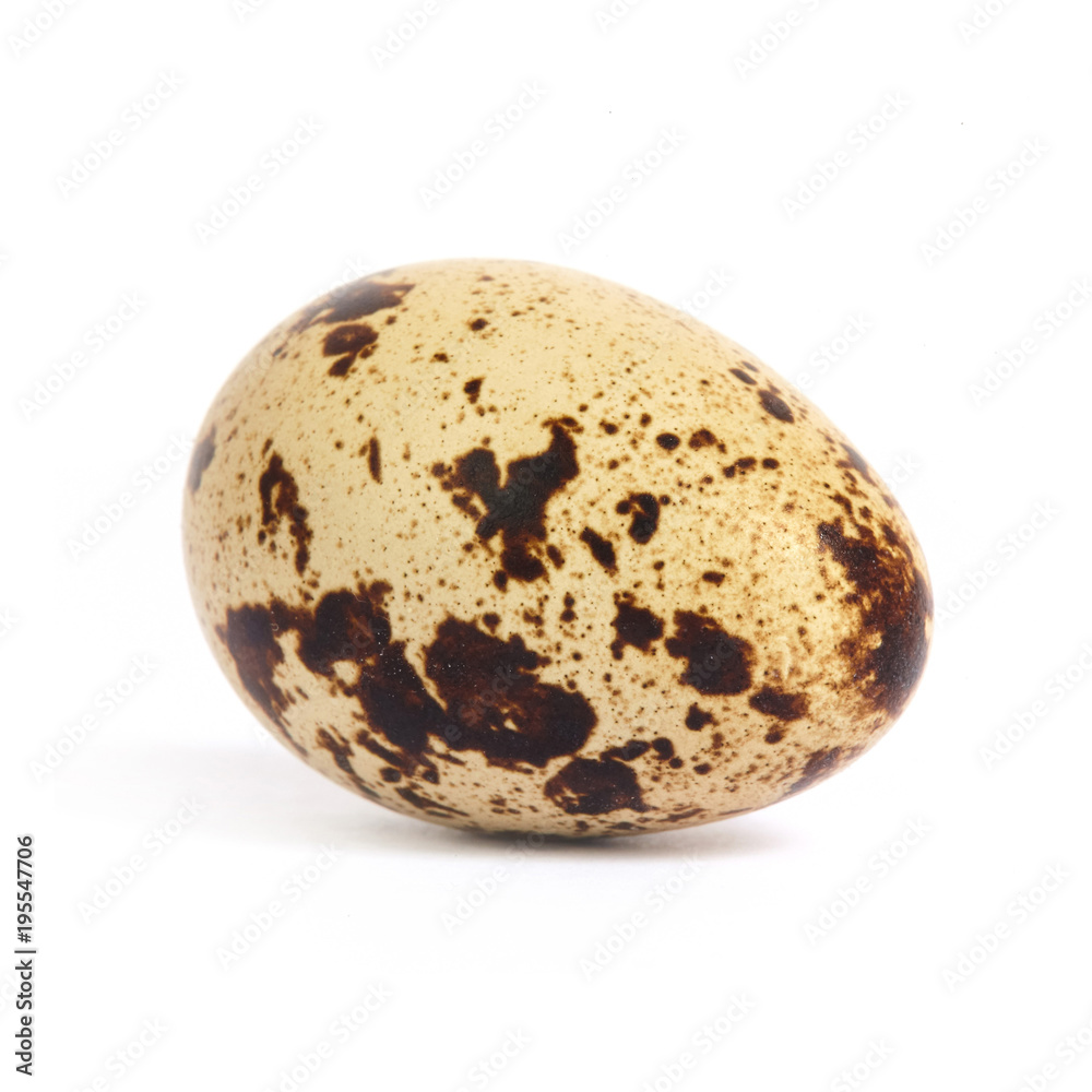 Quail egg isolated on white background Quail egg isolated on white background