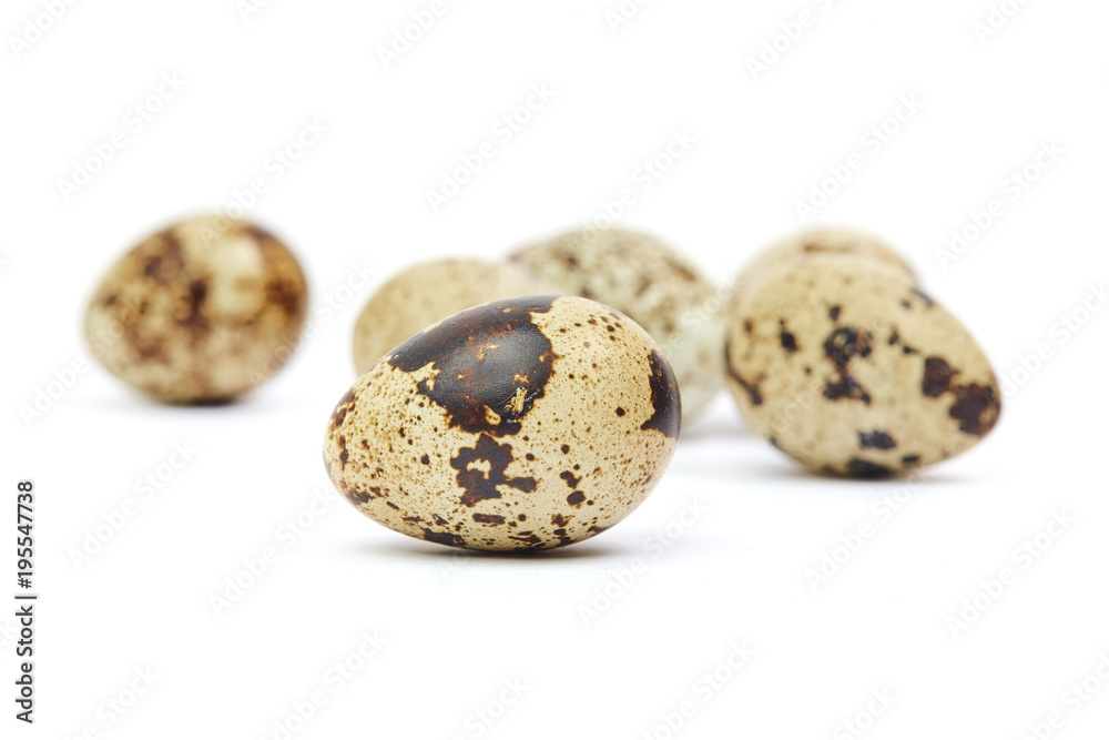 Obraz premium Quail egg isolated on white background