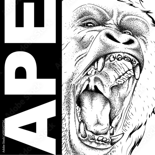 Drawing of a Ape's head. alpha of a pack of gorillas. Aggressive monkey. Graphic design of the cover. Template for design. Vector illustration