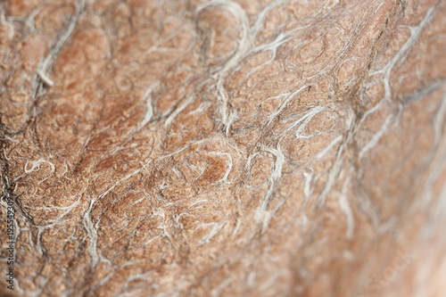 Natural abstract coconut texture wallpaper