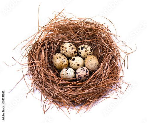 Quail eggs in a straw nest, isolated on white background.