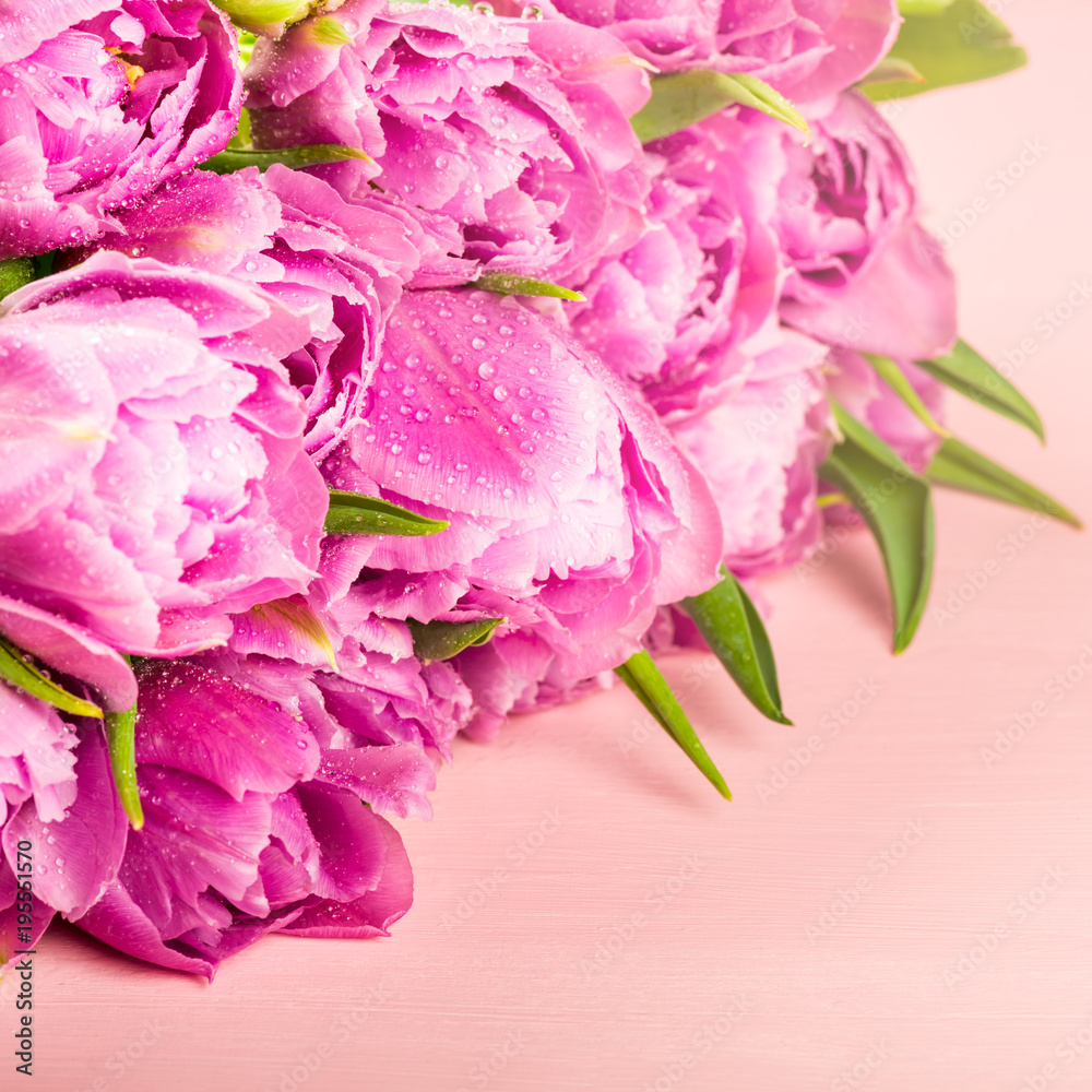 Beautiful Bunch of Purple Peony Style Tulips Beautiful Bunch of Purple Peony Style Tulips