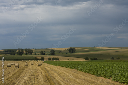 Thunderstorm sky above fields in Alsace France.