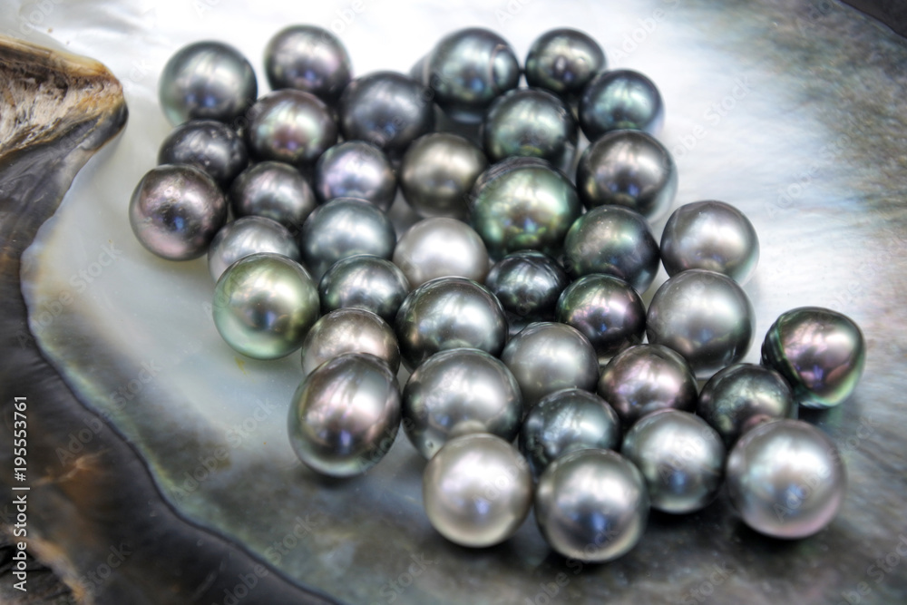 Excellent Round Tahitian Black Pearls - obrazy, fototapety, plakaty 