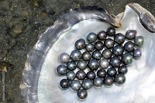 Tahitian Black Pearls photo