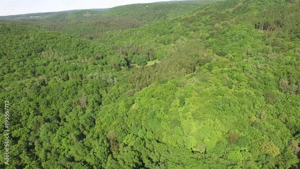 Aerial view of a beautiful spring forest Aerial view of a beautiful spring forest