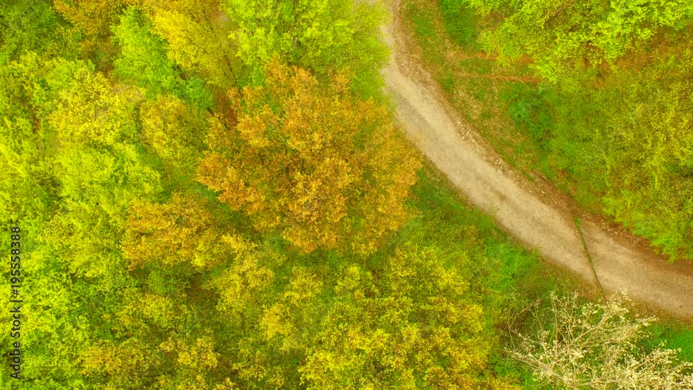 Aerial view of a beautiful spring forest Aerial view of a beautiful spring forest
