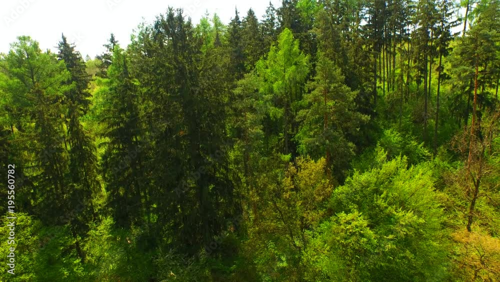 Aerial view of a beautiful spring forest Aerial view of a beautiful spring forest