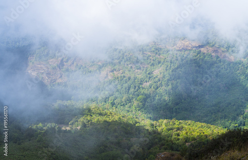 view of tropical forest, Inthanon National Park, Thailand