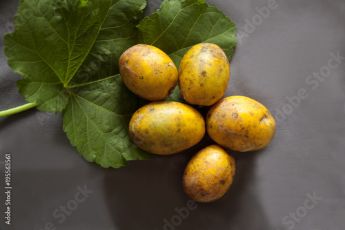 Ambarella fruit photo