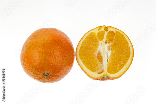 The oranges on a white background