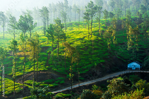 Obraz na płótnie Wayanad, Kerala