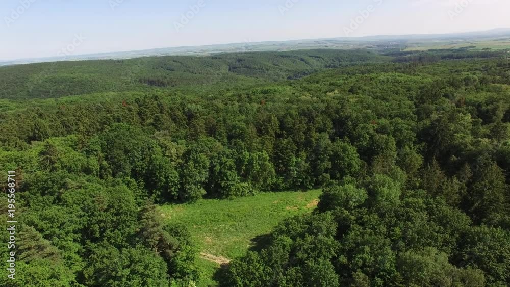 Aerial view of summer forest in Europe. Aerial view of summer forest in Europe.