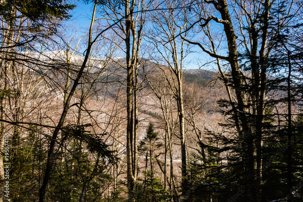 Cannon Mountain in Franconia, NH via Hi-Cannon, Kinsman Ridge, and Lonesome Lake Trails Cannon Mountain in Franconia, NH via Hi-Cannon, Kinsman Ridge, and Lonesome Lake Trails