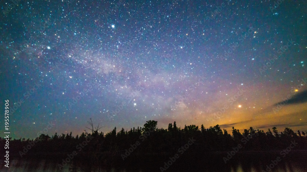 Obraz premium Milky way and stars over the trees at night