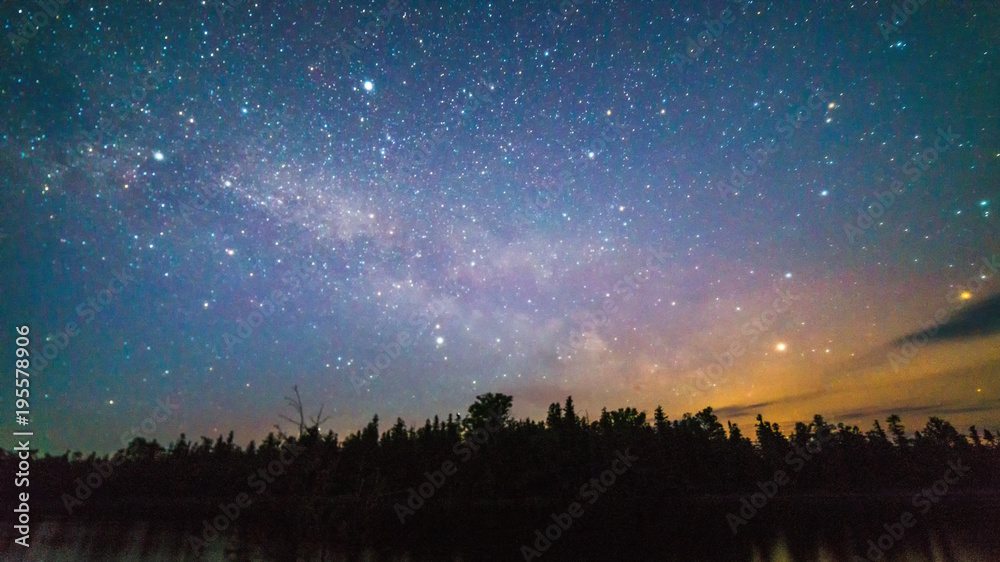 Milky way and stars over the trees at night