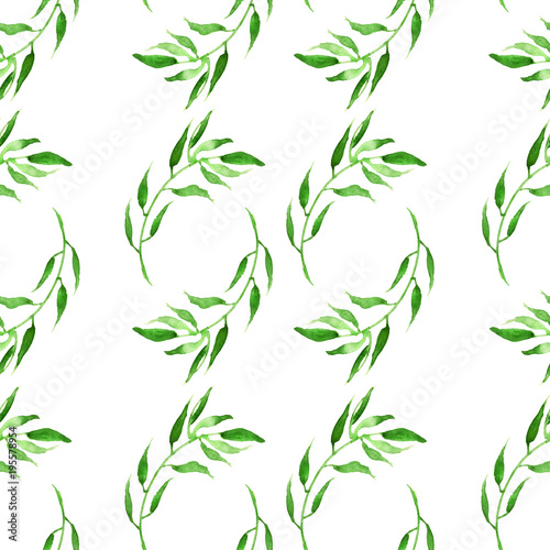 Fototapeta Naklejka Na Ścianę i Meble -  watercolor pattern, seamless background, card with an illustration - wild grasses, algae, twigs, green branch, basil, sprout, plant. Done in watercolor. green color. Green plants on a white background