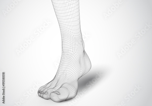 3d illustration of a vector of human feet walking along photo
