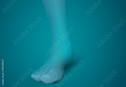3d illustration of a vector of human feet walking along