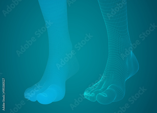 3d illustration of a vector of human feet walking along