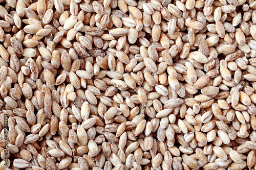 Pearl barley closeup, heap of pearl barley grains. Concept of healthy vegetarian food.