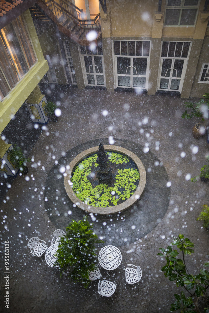Tropical garden with fountain under rain drops Tropical garden with fountain under rain drops