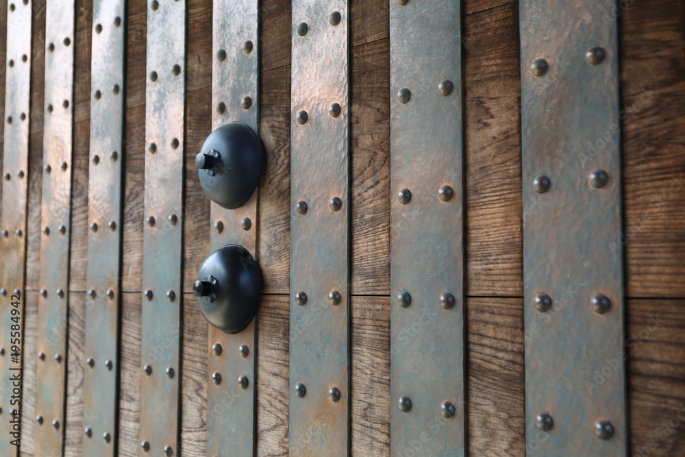 Obraz premium お城の門