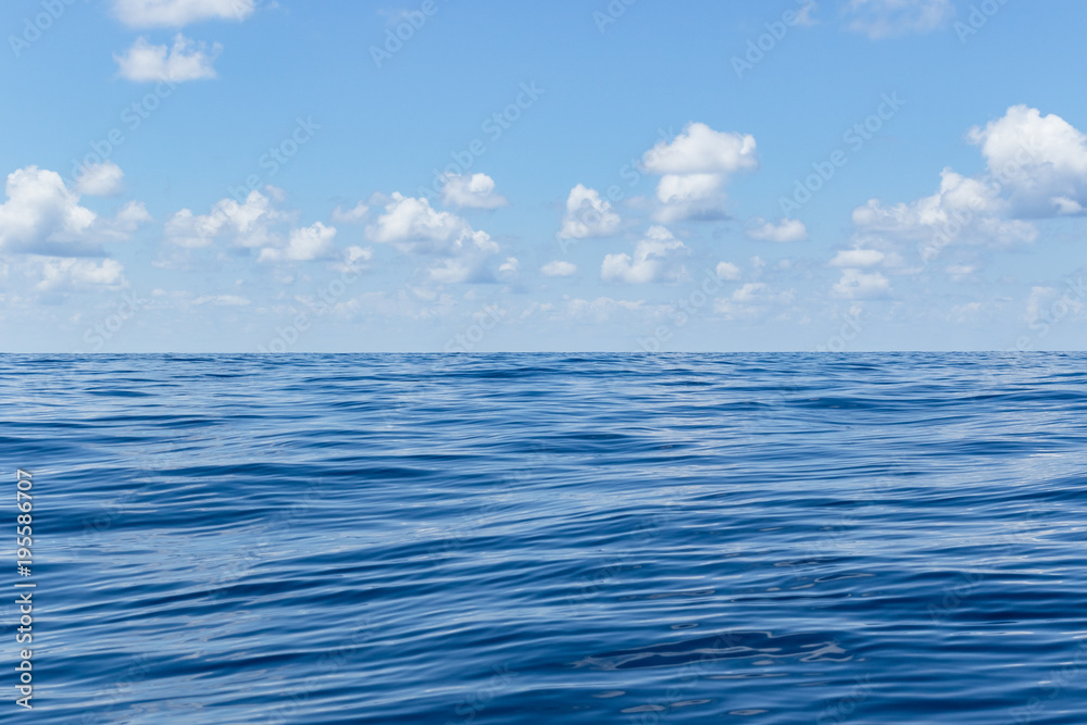 Obraz premium Deep blue sea 5