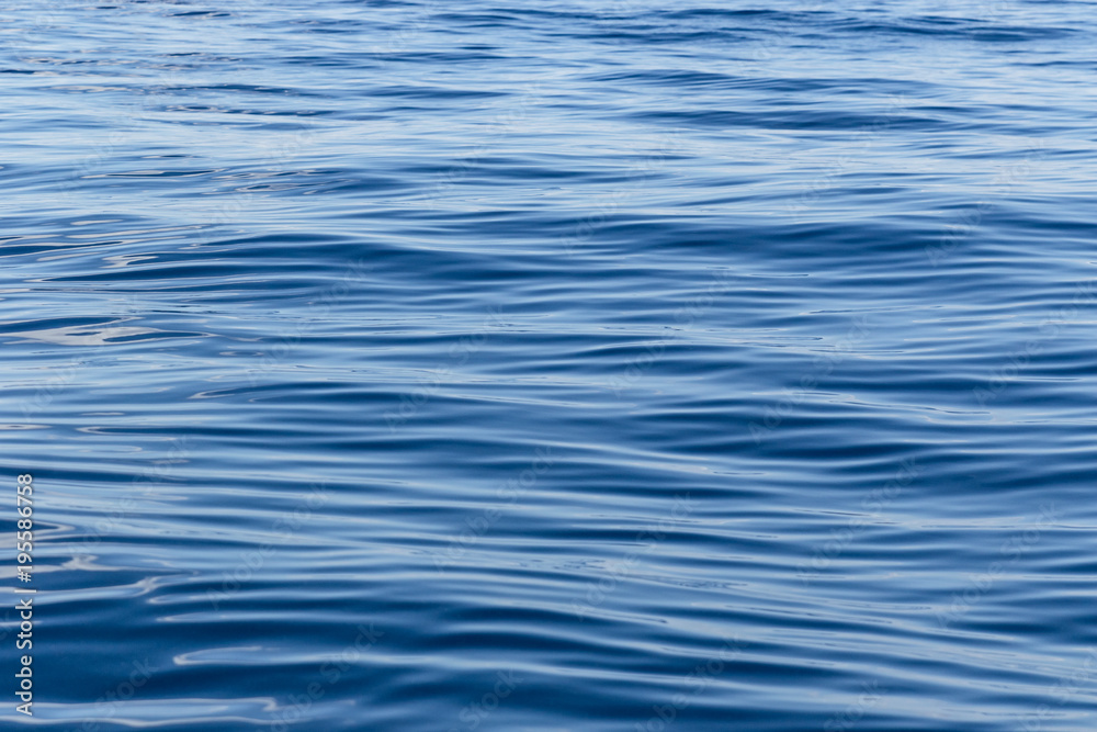 Deep blue sea 4 Deep blue sea 4