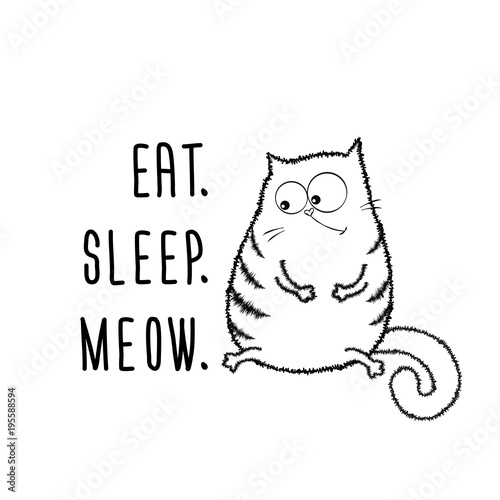 Funny fat cat and phrase- eat,sleep and meow