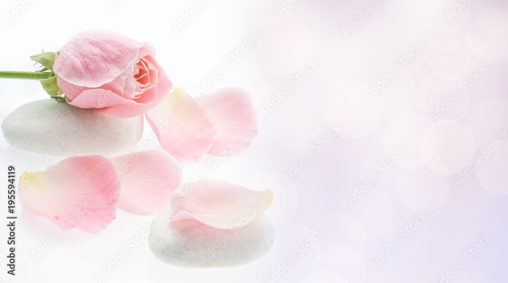 Abstract flowers background for decoration on pink
