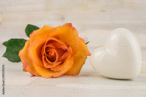 Orange rose with water drops and a white heart, wooden background