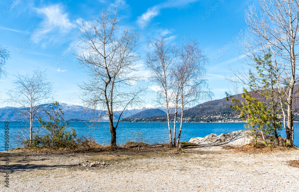 Landscape of Lake Maggiore with Two trees on the shore on a winter day.