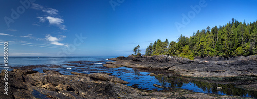 Küstenlandschaft am Botanical Beach im Juan de Fuca Provincial Park auf Vancouver Island, British Columbia, Kanada.