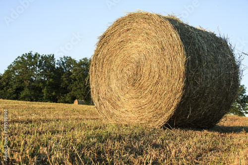 Large single haybale