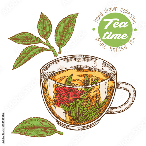 Hand drawn cup of tea. White knitted tea isolated on white. Vector illustration. Design for packaging.