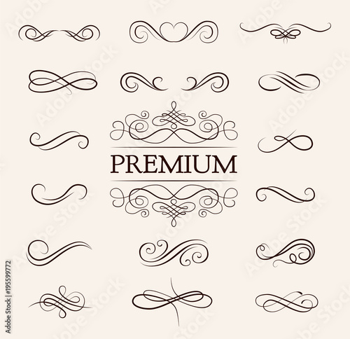 Vintage elements and page decoration. Ornate frames and scroll element.