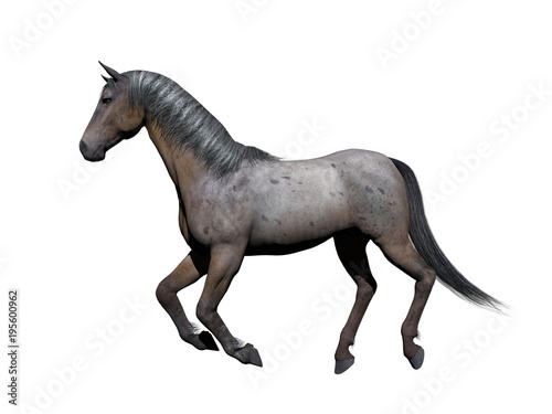 White and grey horse on white background - 3d rendering