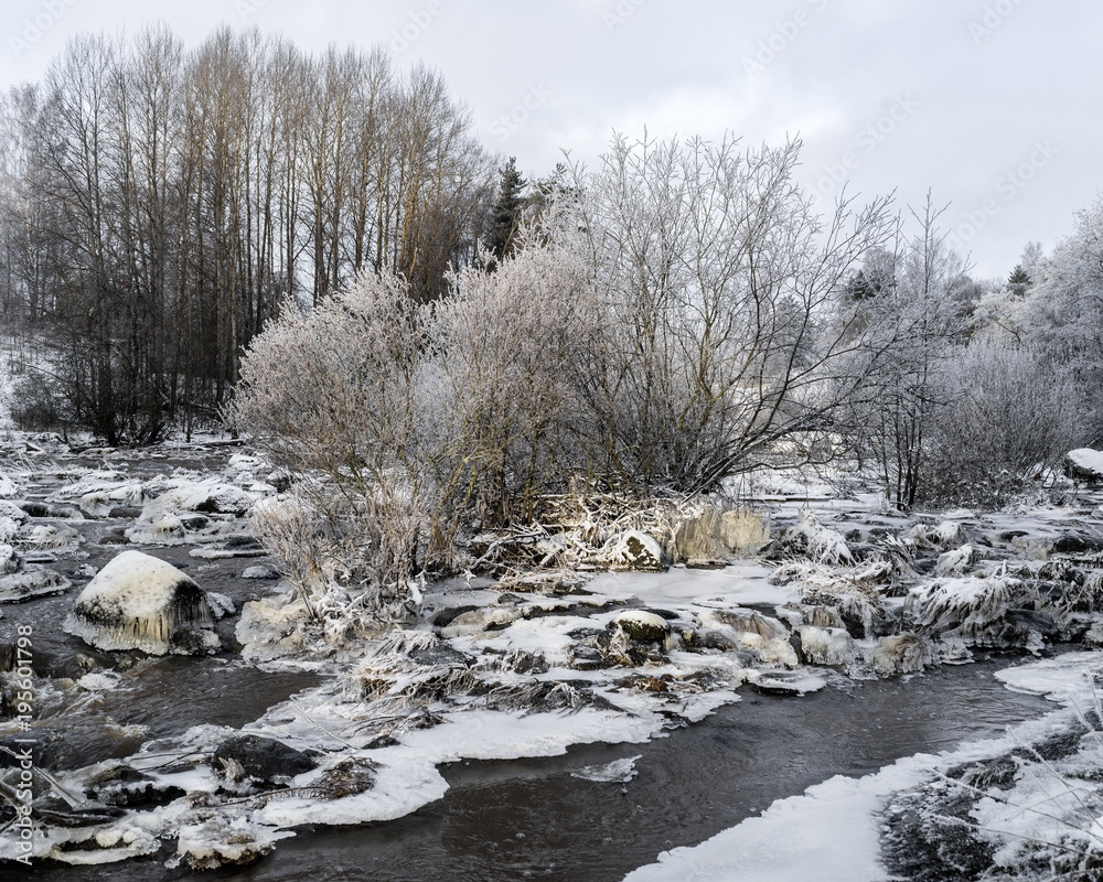 Winter stream in forest Winter stream in forest