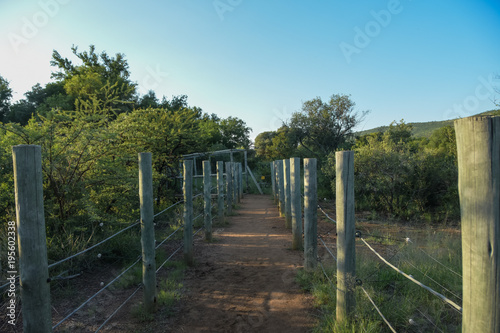 pathway to a bush hide out