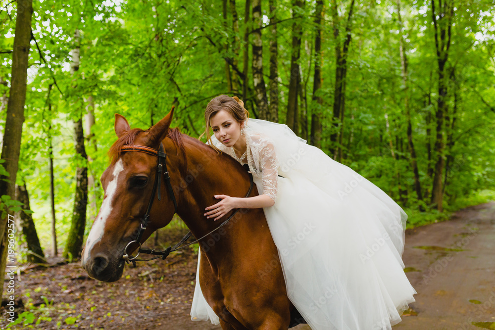 Beautiful young bride with the horse Beautiful young bride with the horse
