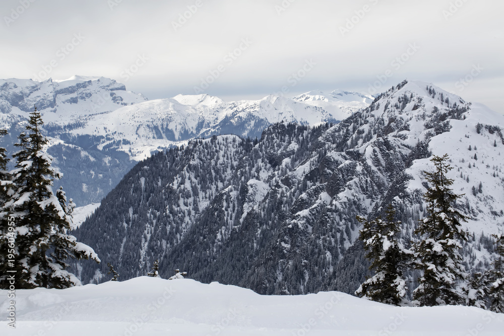 Panoramic winter view of the Alps, Austria